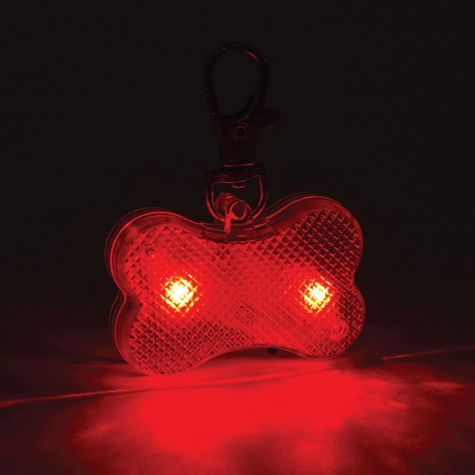 Pet Reflective Lights Red In The Dark